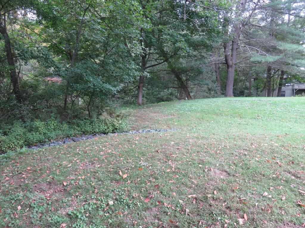 Rear Yard 12719684