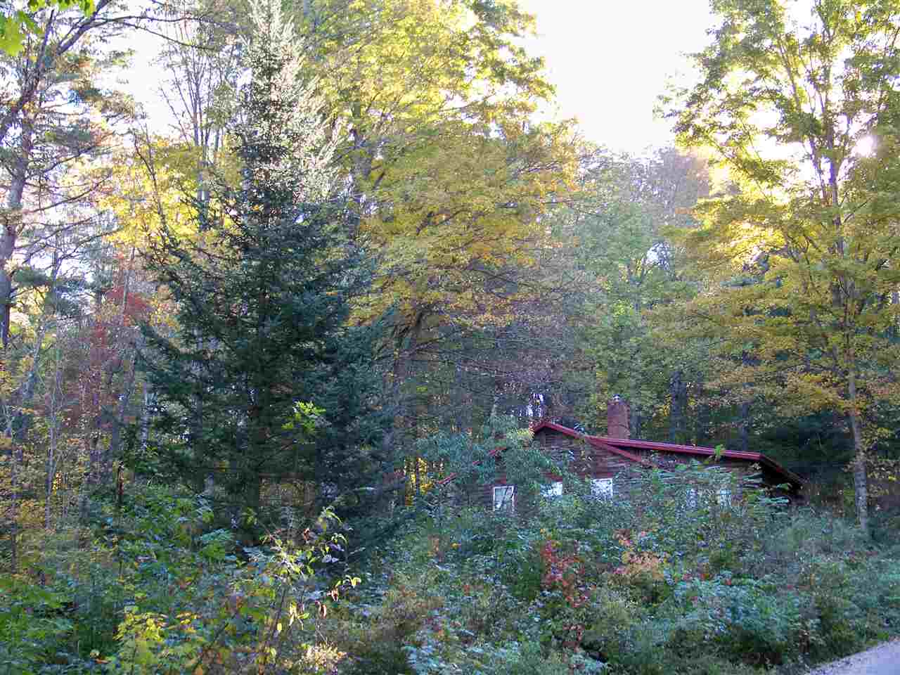 GRAFTON NH Homes for sale