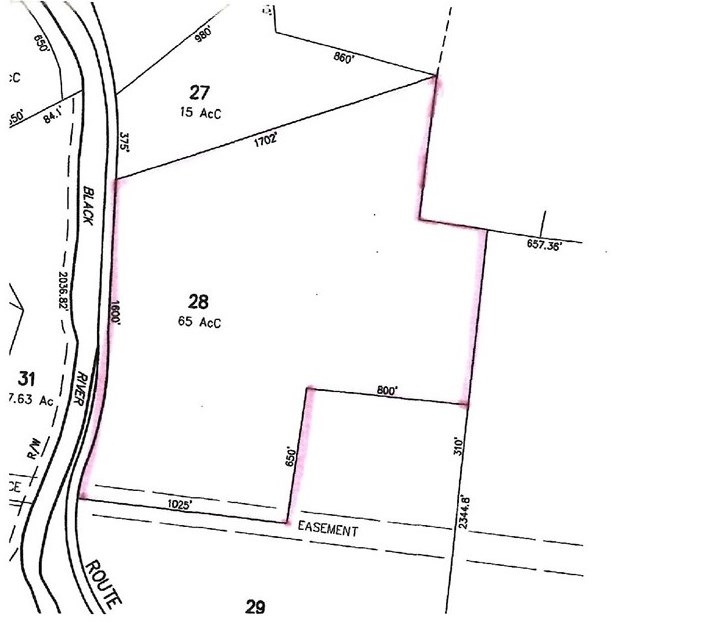 CAVENDISH VT Land / Acres for sale