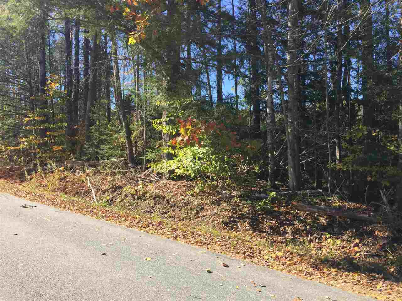 SPRINGFIELD NH Land / Acres for sale