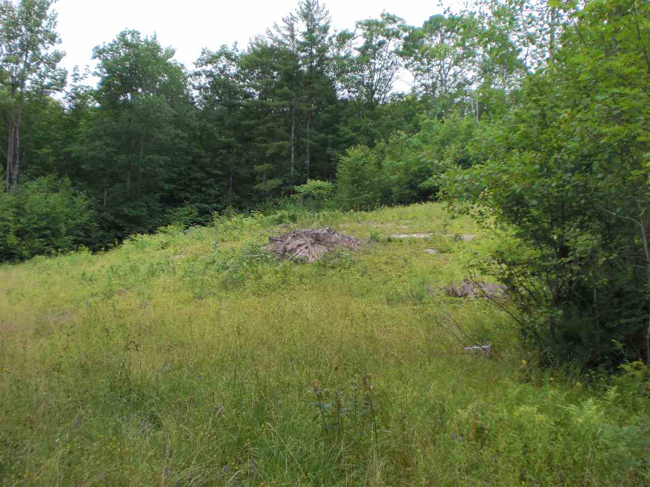 GRAFTON NH Land / Acres for sale