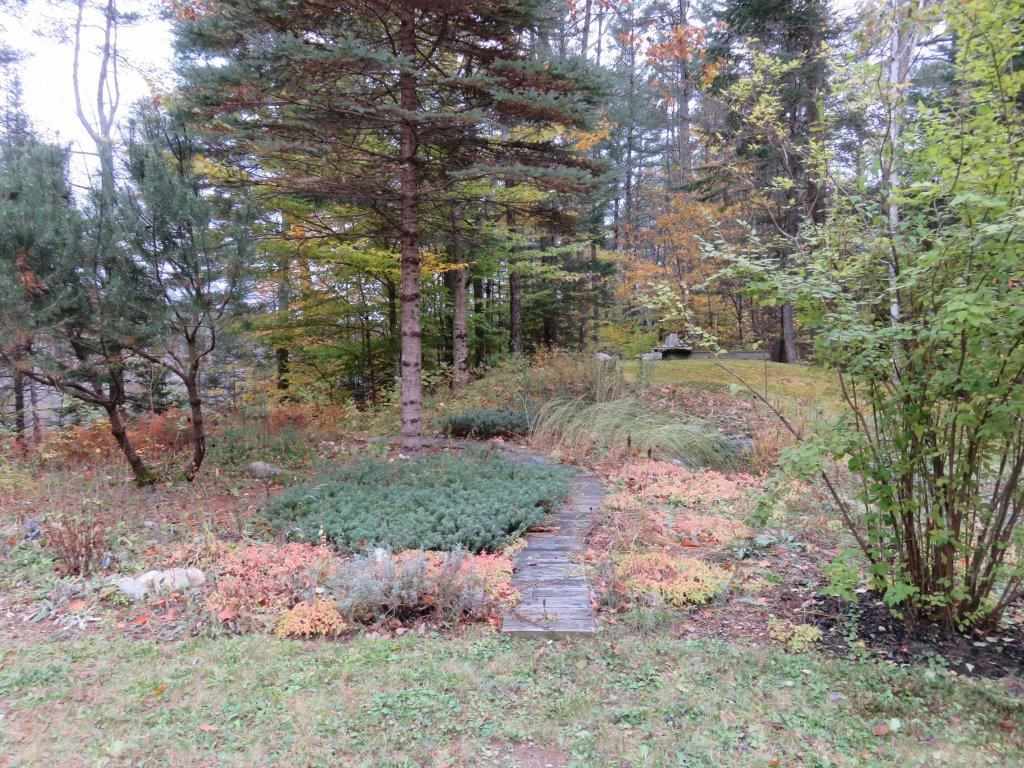 Rear Back Yard 12868616