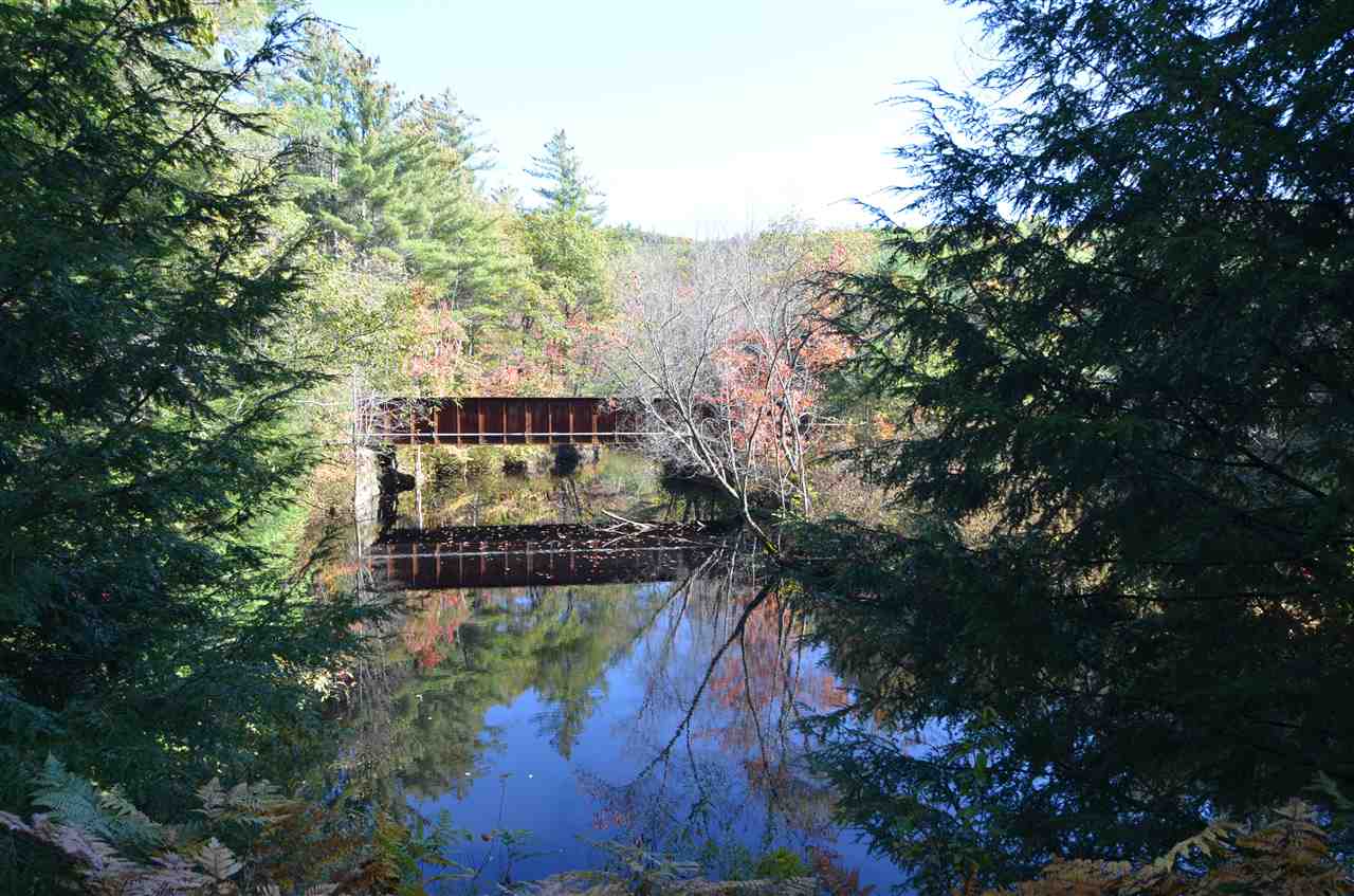 DANBURY NH Homes for sale