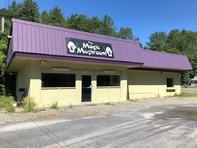 VILLAGE OF ASCUTNEY IN TOWN OF WEATHERSFIELD VT Commercial Listing for sale
