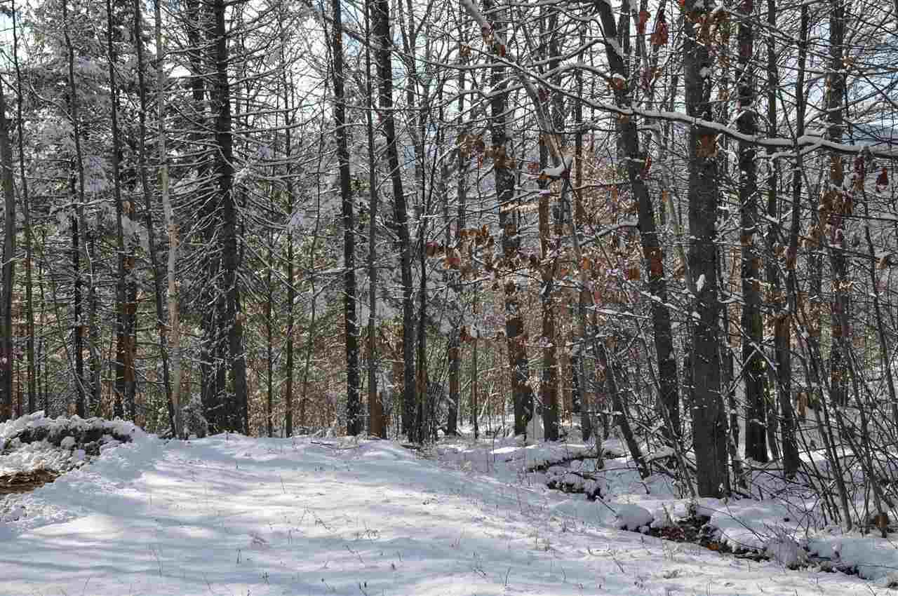 DANBURY NH Land / Acres for sale
