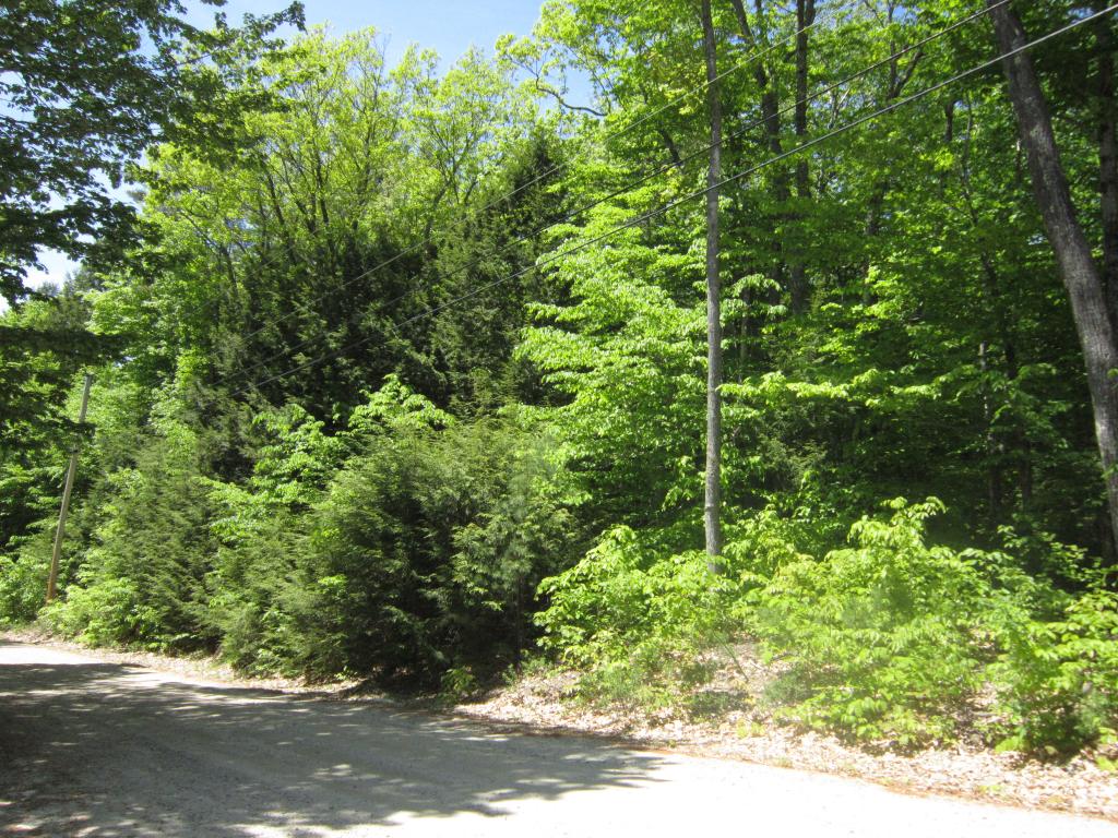 Lot 4 Lovell Heights Road Wakefield, NH |  Photo