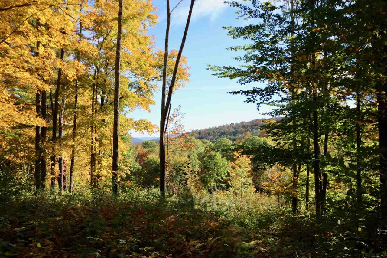 West Windsor VT Land Acres 20