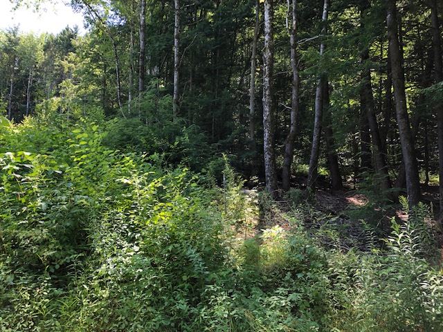 WEATHERSFIELD VT Land / Acres for sale