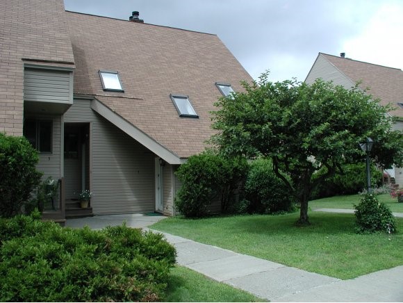 Woodstock VT Condo for sale $135,000