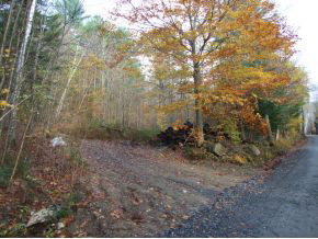 CAVENDISH VT Land / Acres for sale