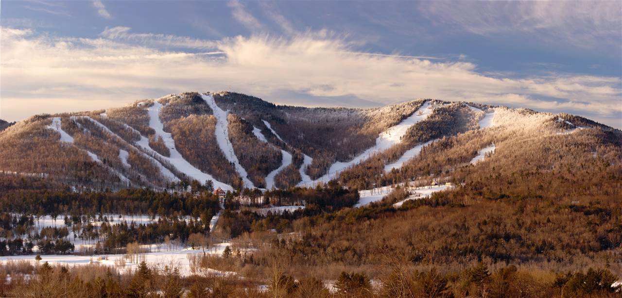 DANBURY NH Land / Acres for sale
