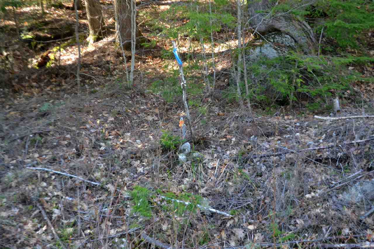 DANBURY NH Land / Acres for sale