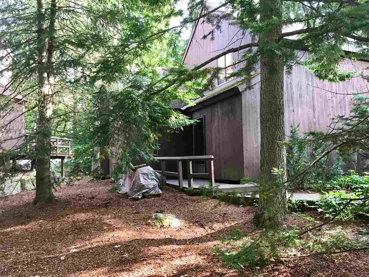 VILLAGE OF EASTMAN IN TOWN OF GRANTHAM NH Condos for sale