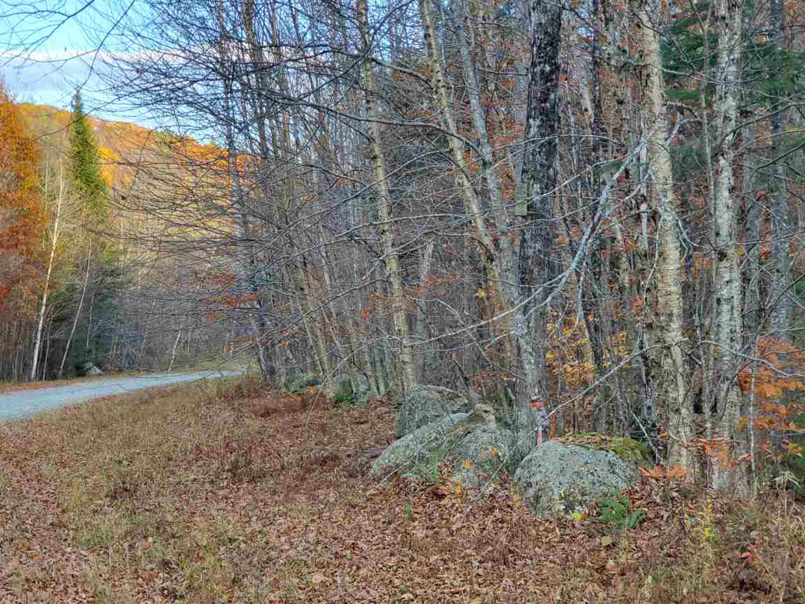 DANBURY NH Land / Acres for sale