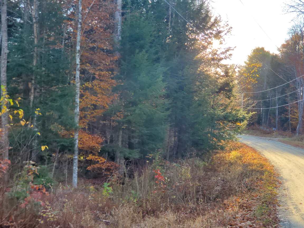 DANBURY NH Land / Acres for sale