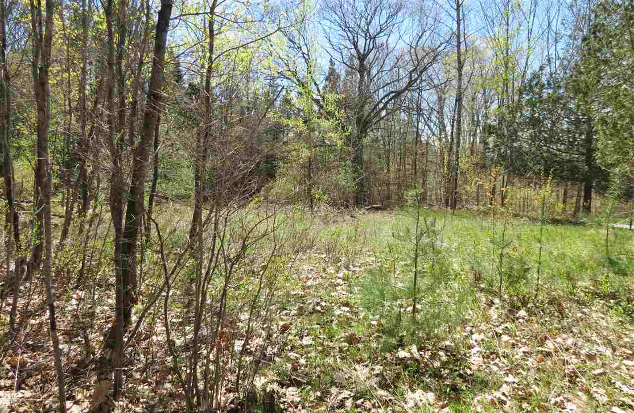 VILLAGE OF PROCTORSVILLE IN TOWN OF CAVENDISH VT Land / Acres for sale