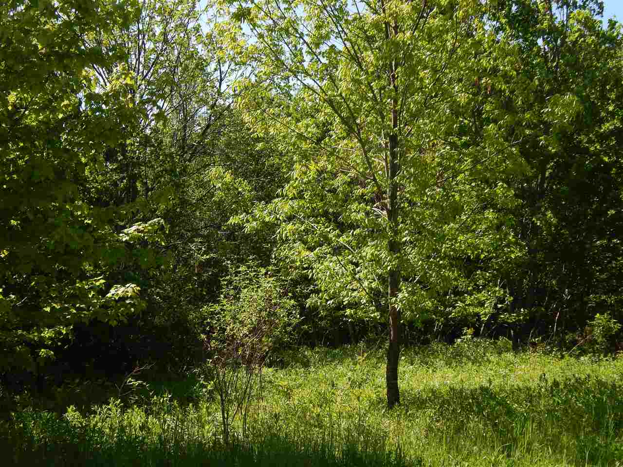 NEWBURY NH Land / Acres for sale
