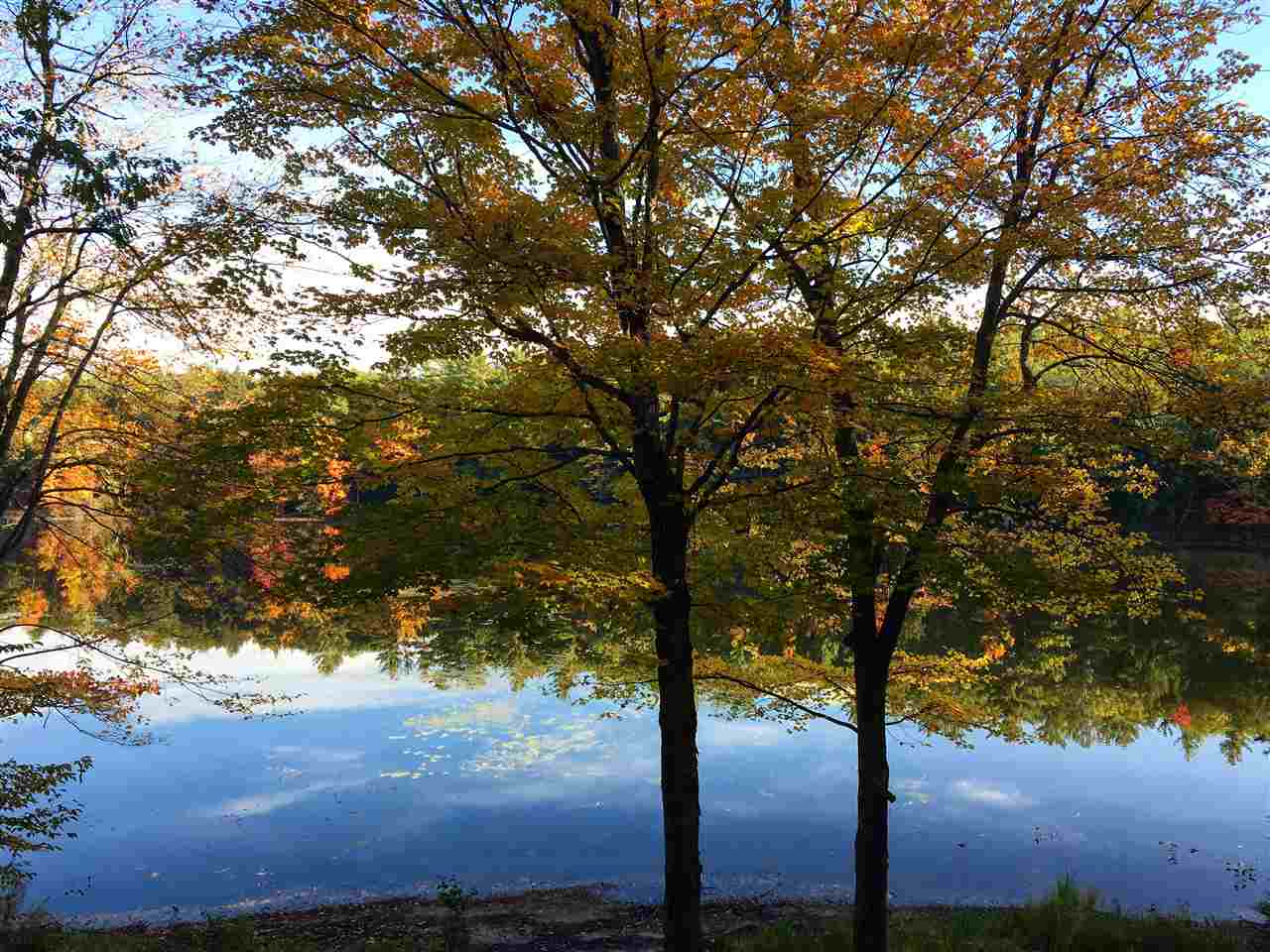 NEWBURY NH Homes for sale