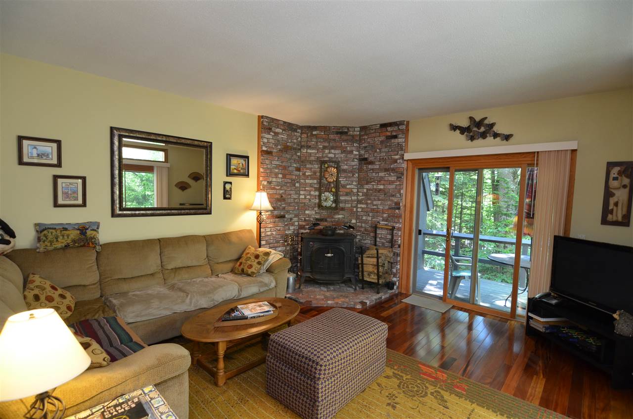 VILLAGE OF EASTMAN IN TOWN OF GRANTHAM NH Condos for sale
