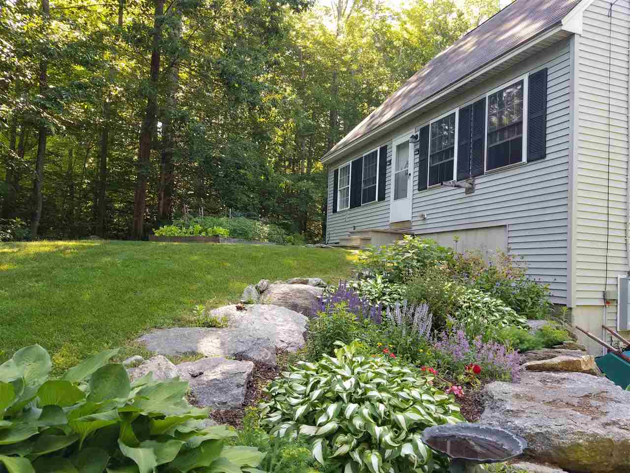 SPRINGFIELD NH Homes for sale
