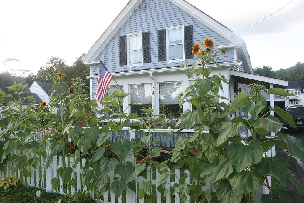 CAVENDISH VT Homes for sale