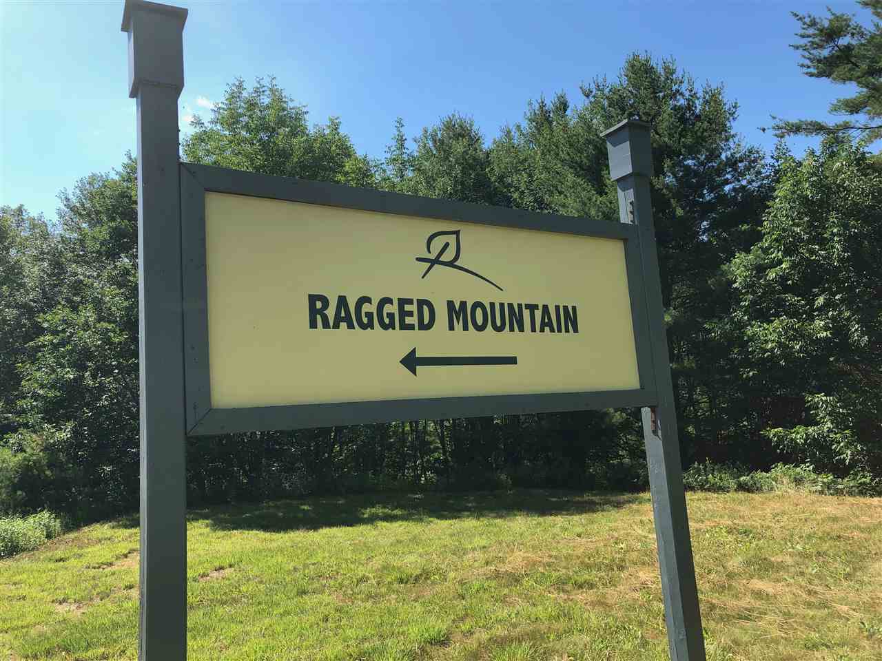 DANBURY NH Land / Acres for sale