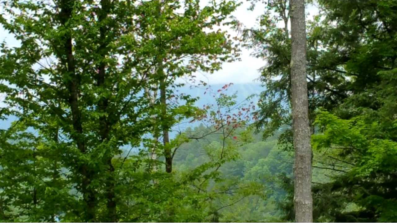 VILLAGE OF PROCTORSVILLE IN TOWN OF CAVENDISH VT Land / Acres for sale
