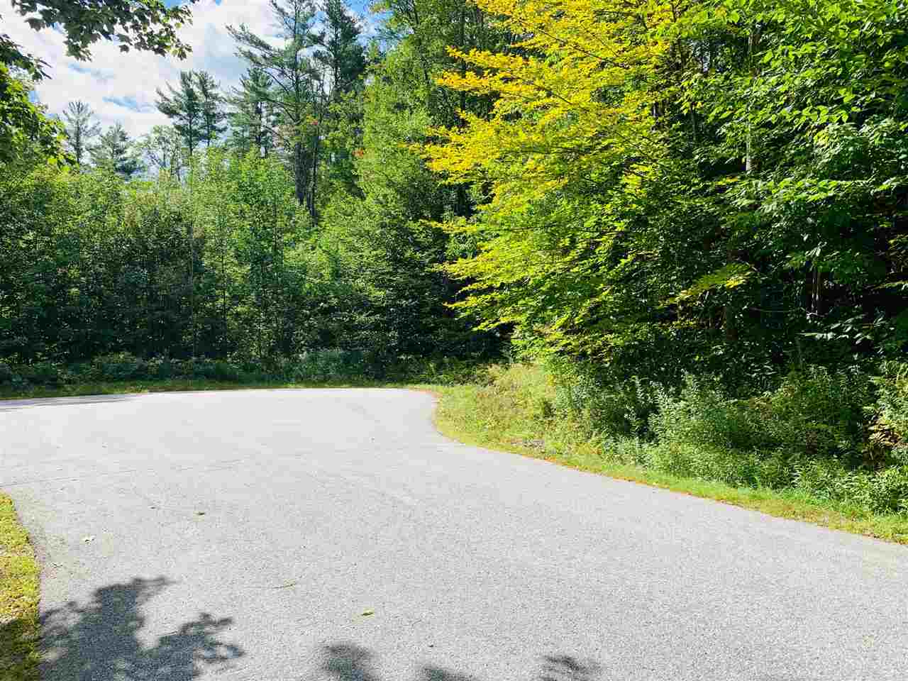 NEWBURY NH Land / Acres for sale