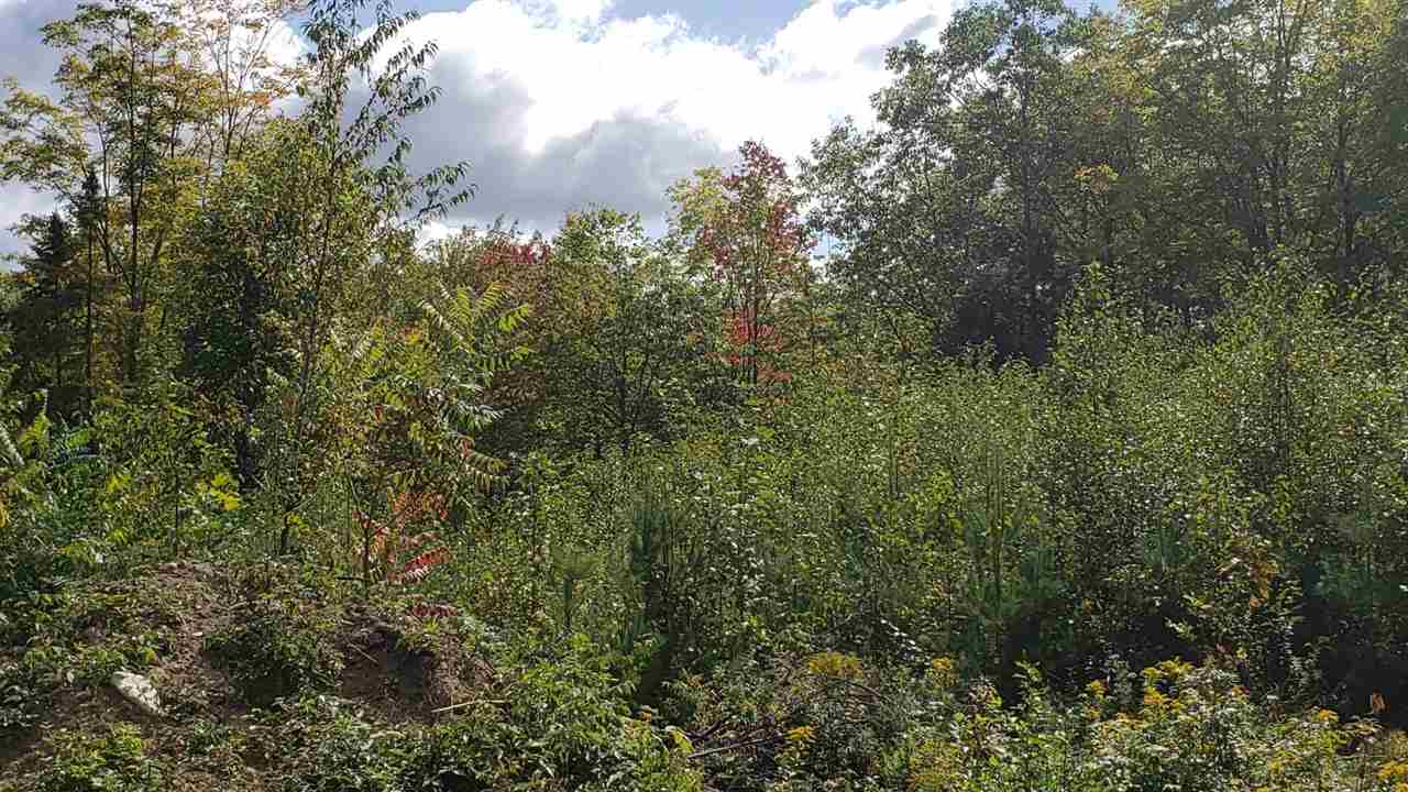 Croydon New Hampshire Land / Acres For Sale page 1