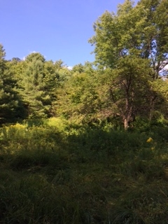 West Windsor VT Home for sale $69,000