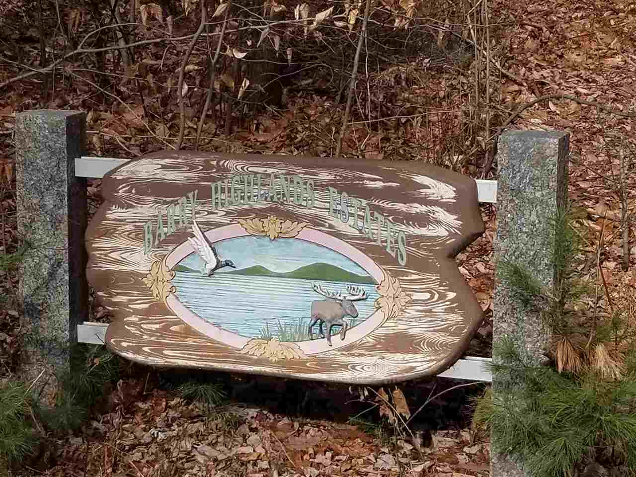 DANBURY NH Land / Acres for sale