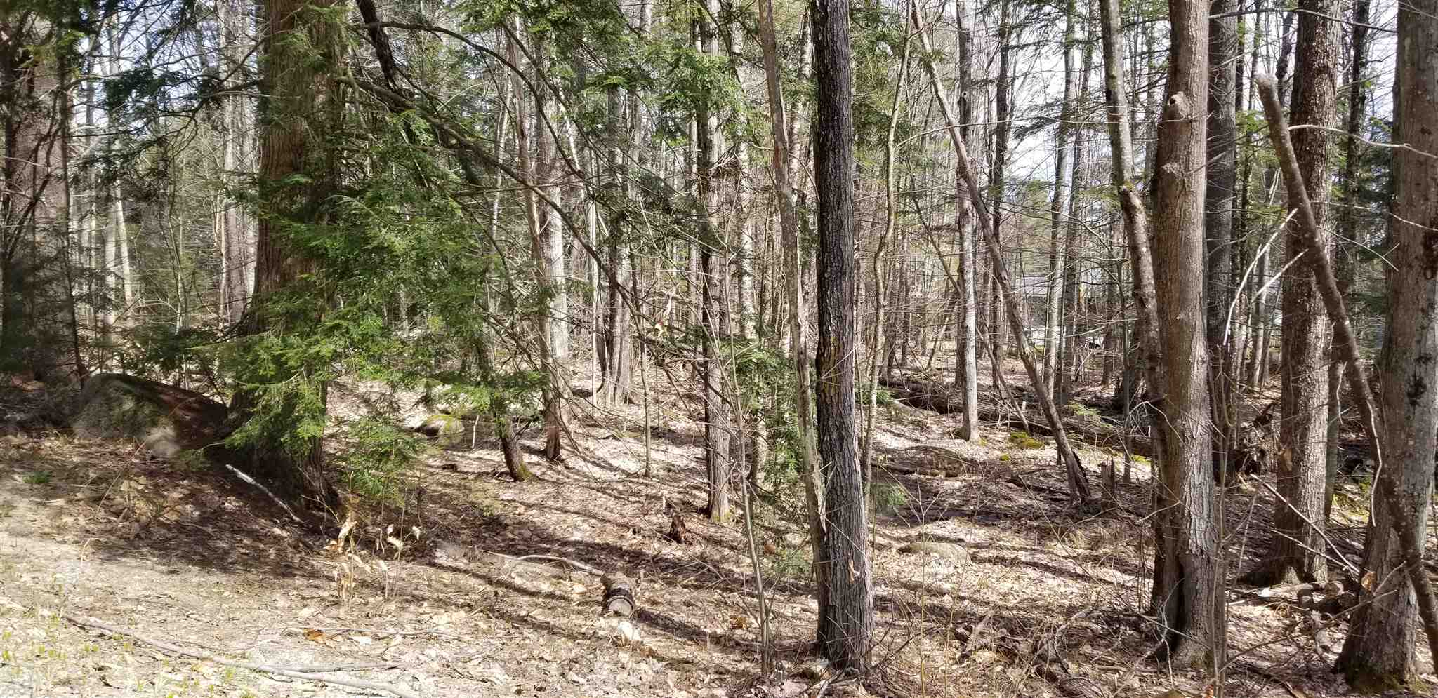 NEW LONDON NH Land / Acres for sale