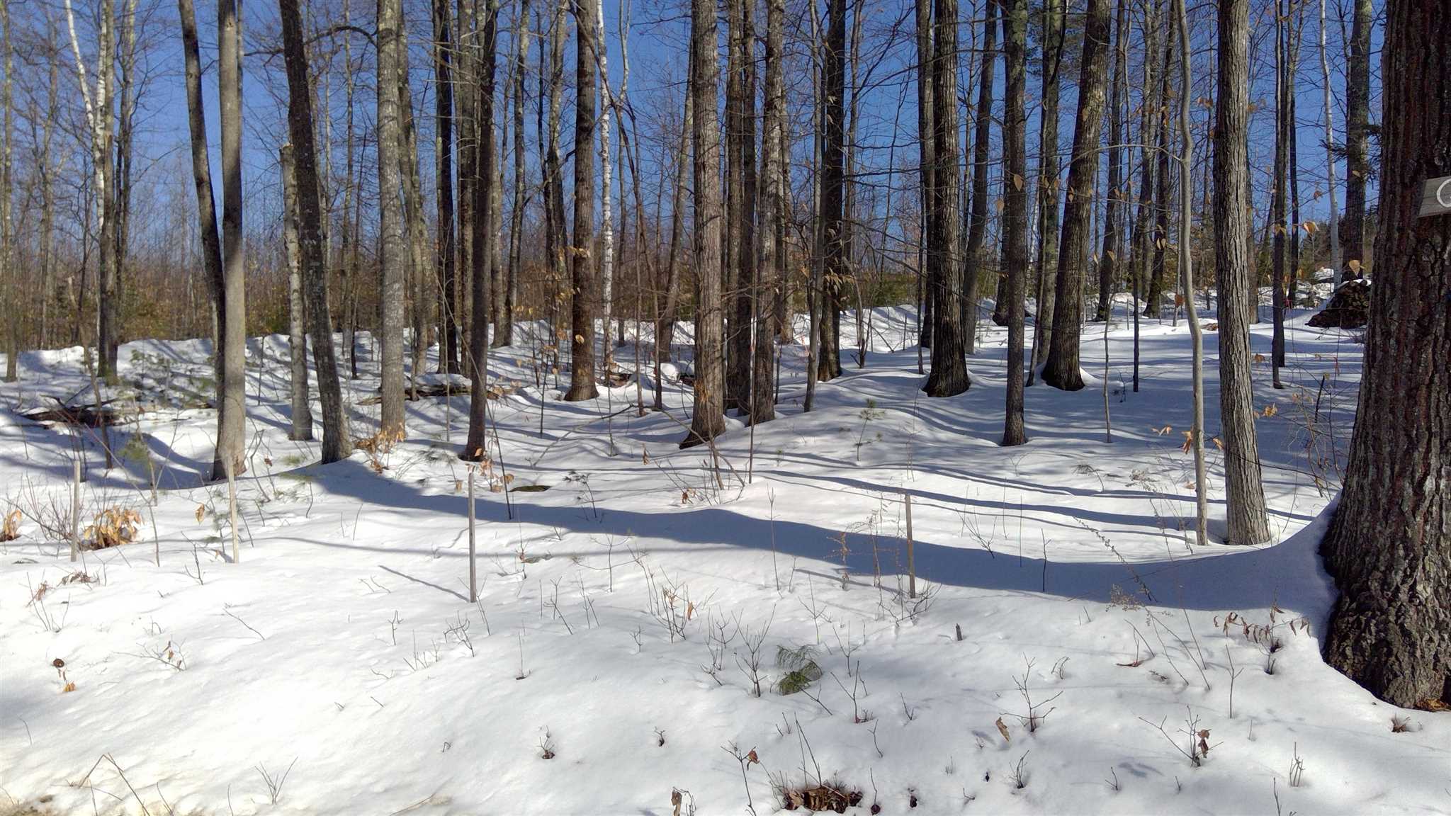 lot 9 Route 109  Wolfeboro, NH Photo