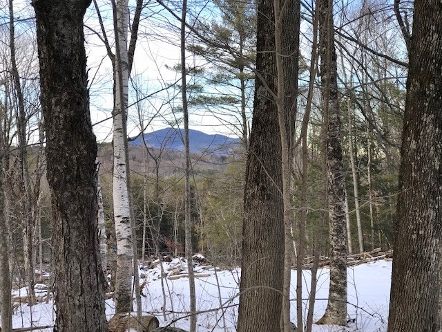 WEATHERSFIELD VT Land / Acres for sale
