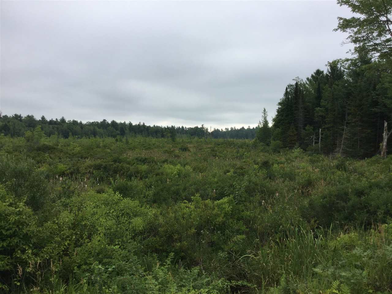 Map 8 - Lot 18 Youngtown Road Alton, NH Photo