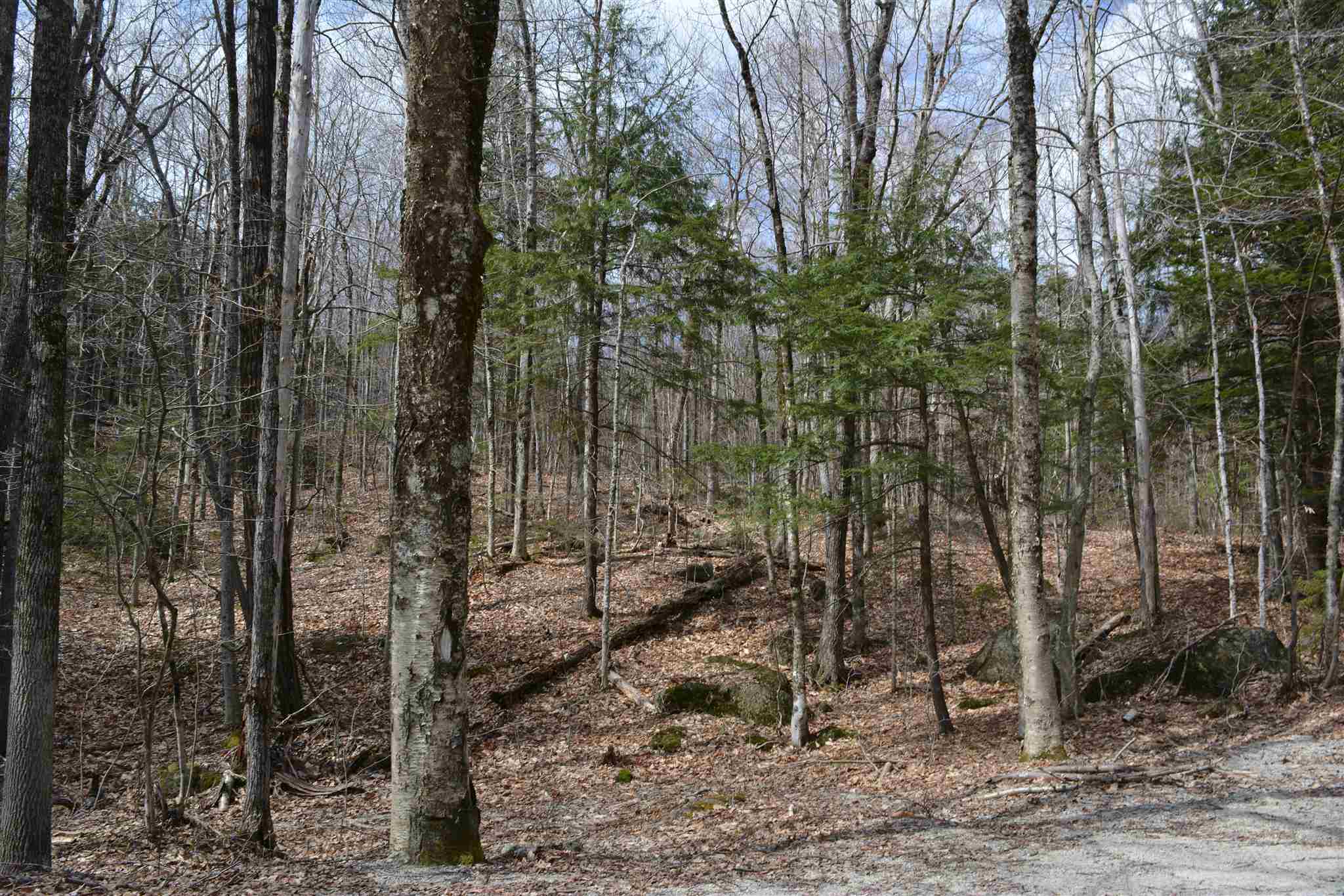 NEWBURY NH Land / Acres for sale