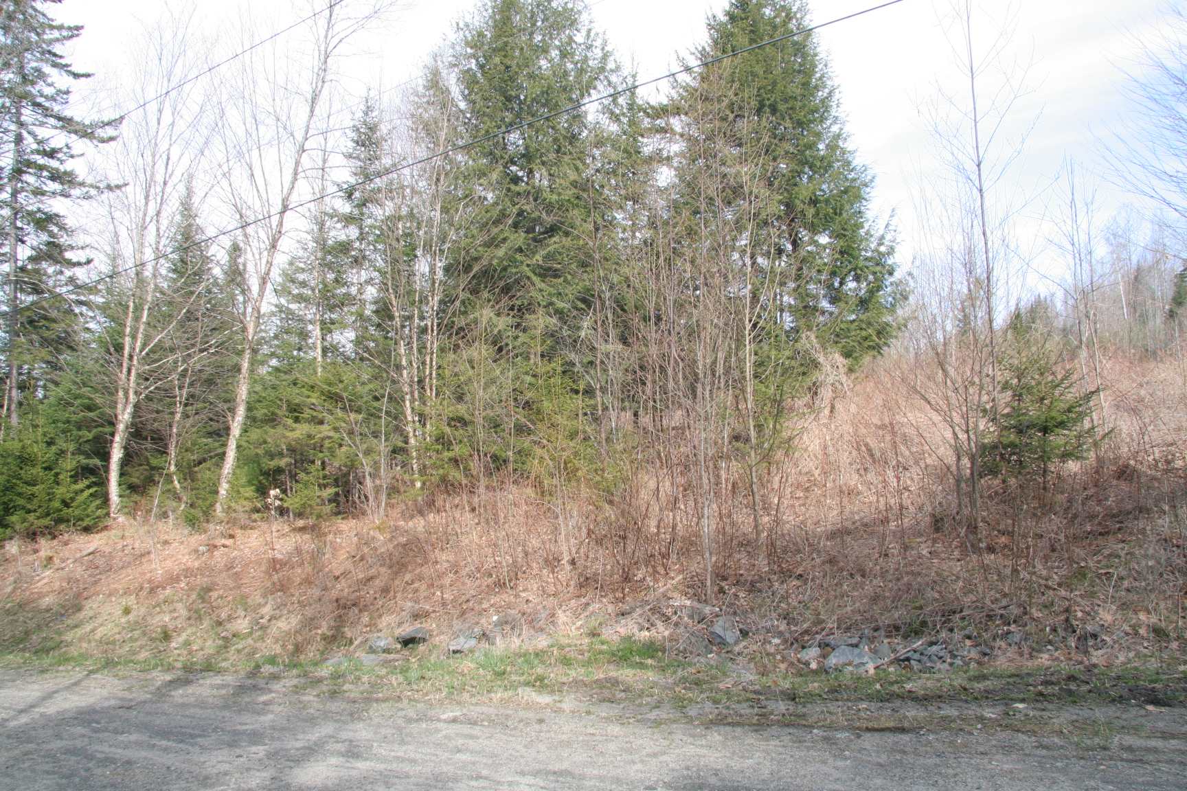 Lot 2 Moore Dam Road Waterford, VT Photo