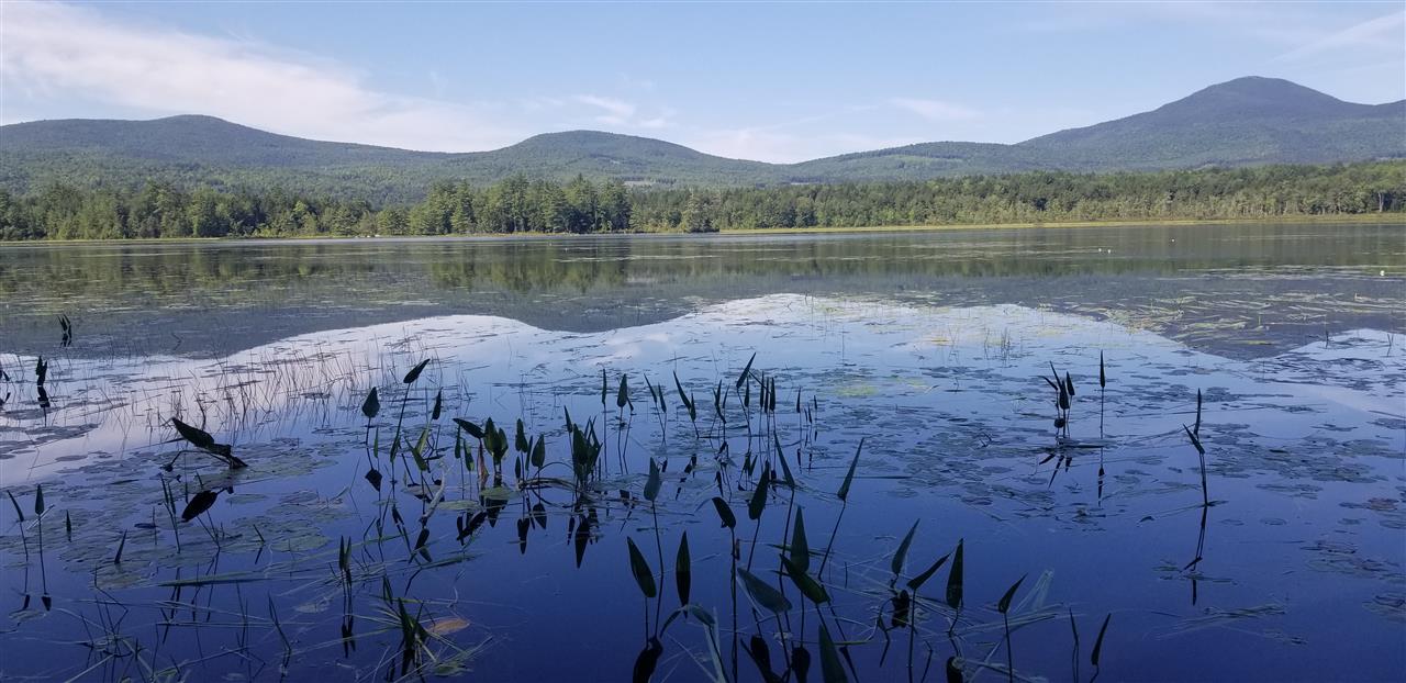 This setting is absolutely stunning! The western facing mountain & lake views are breathtaking! Located on a 169 acre isolated lake that sees little traffic. It’s also a great spot for marshland birds & numerous wildlife including moose. Limited to 10 HP motors, this is a paddler's dream from your own dock. You'll hear little sound other than the loons. The year-round home has a massive field stone fireplace in the living room and an extra-large eat-in kitchen and updated bathrooms. The rustic pine paneled interior has built-in bunks in the living room for extra guests, in addition to the three bedrooms plus bonus room upstairs. A wide deck sweeps around the house for panoramic views of the mountains and sunset views over Kearsarge, Black Cap & Hurricane Mountains. Could there be a better place to enjoy morning coffee or afternoon cocktails? I think not!