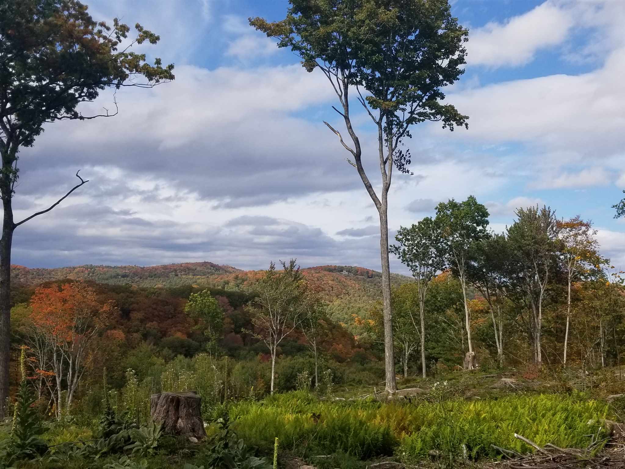 Norwich VT Land for sale