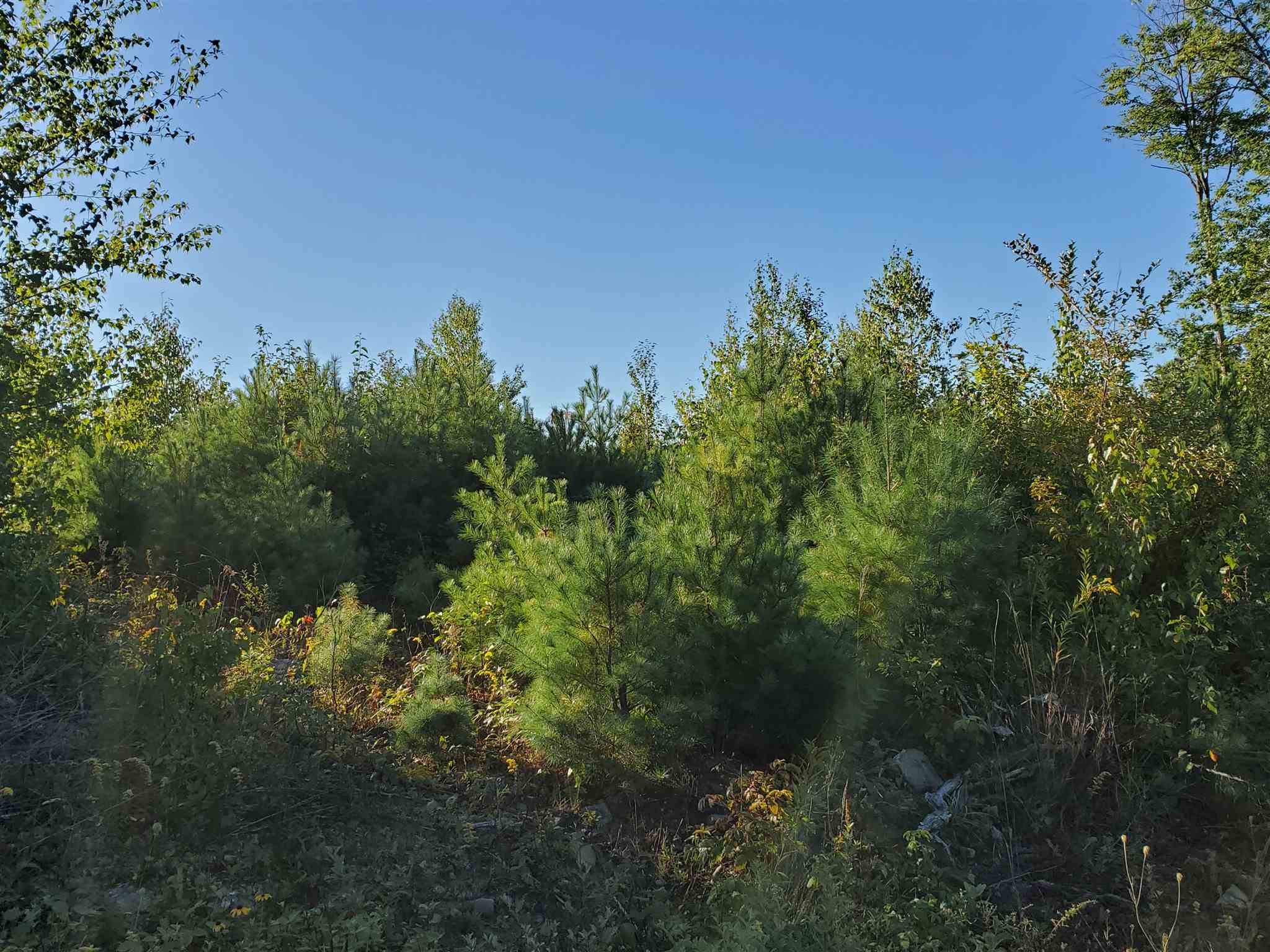 Canaan New Hampshire Land Acres For Sale Page 1
