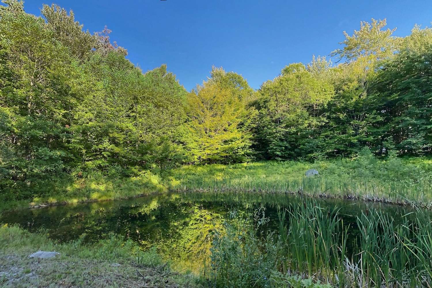 NEWBURY NH Homes for sale