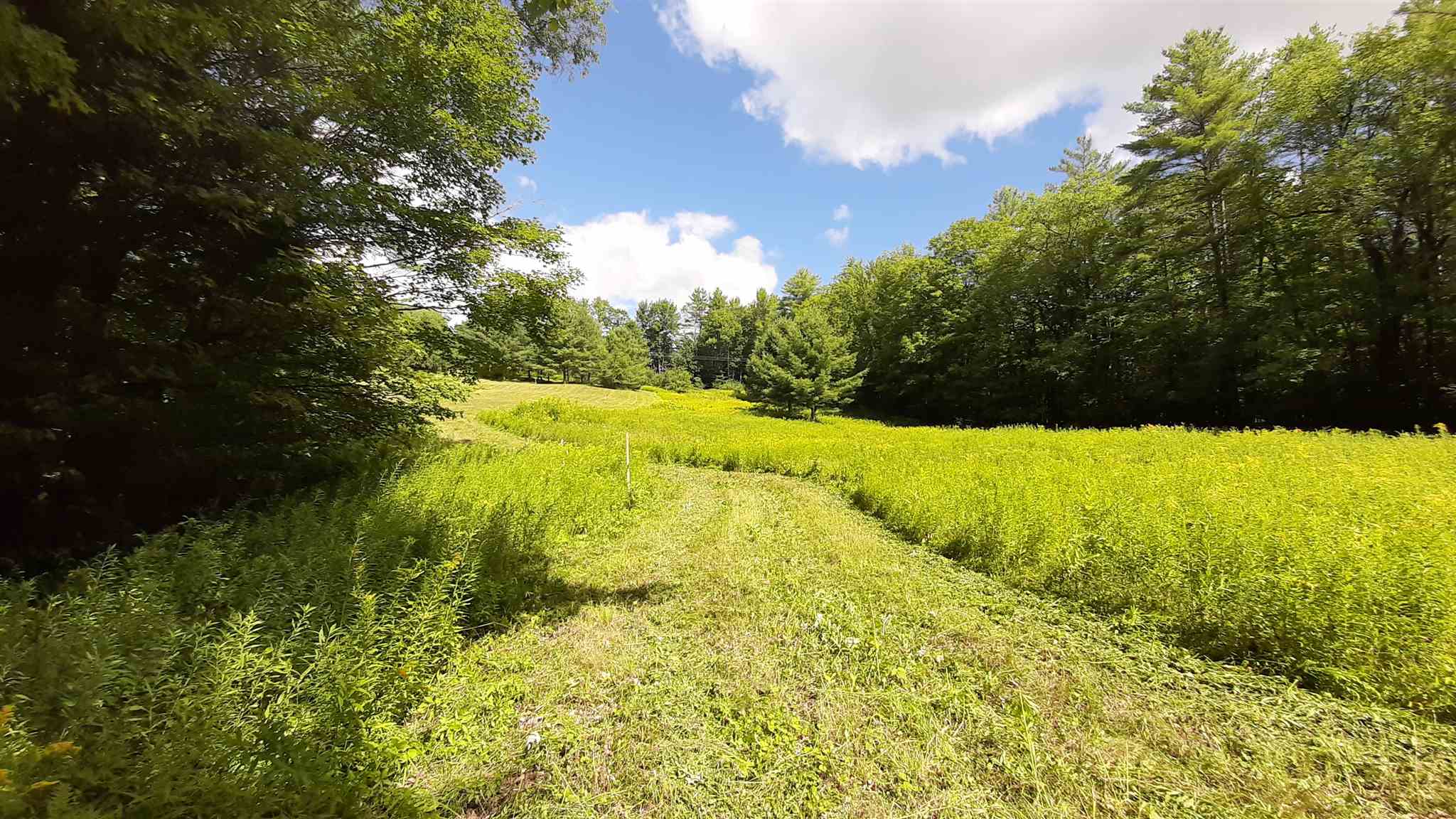 Featured Land Listings for Sale