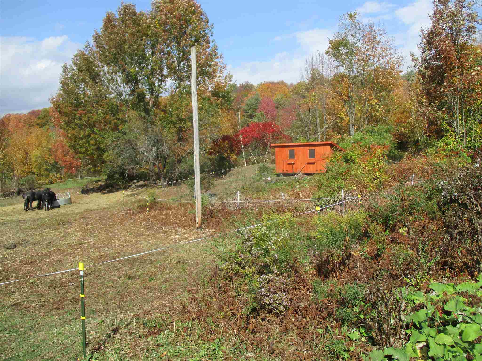 971 Gage Road, Tunbridge, VT 05077 Tieger Realty