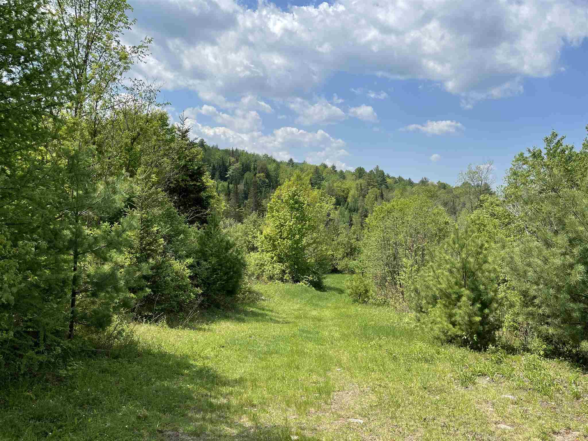 Lot #6 Waterford Hollow Lane6  Waterford, VT Photo