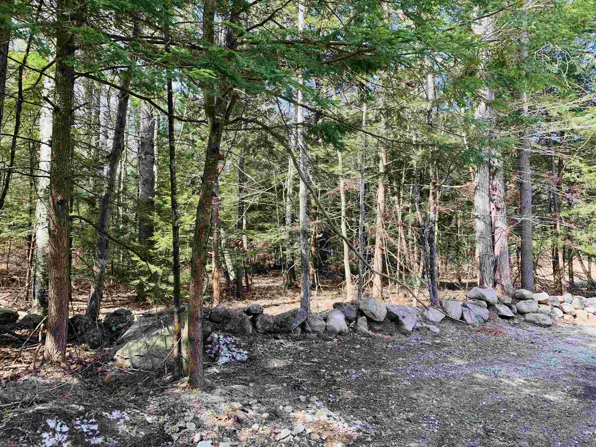 Lot 173 Dix Street Bridgewater, NH Photo