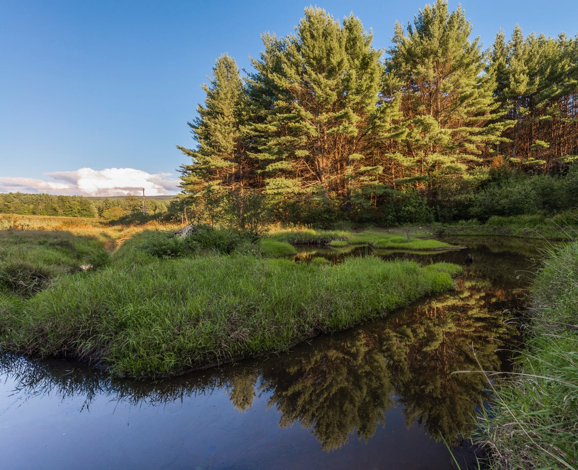 PLAINFIELD NH Land / Acres for sale