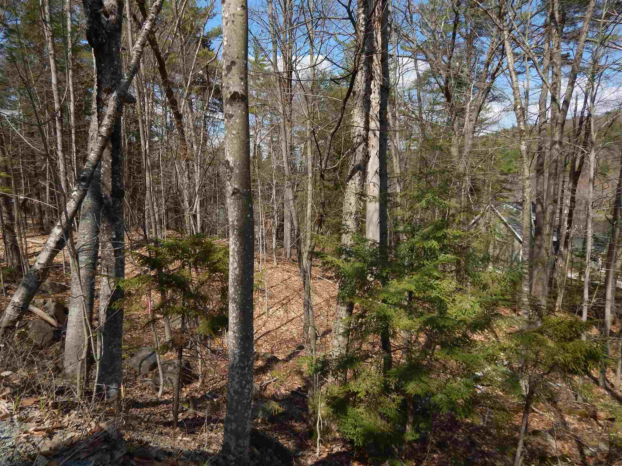Photo of Lot 61 Hilltop Drive Newbury NH 03255
