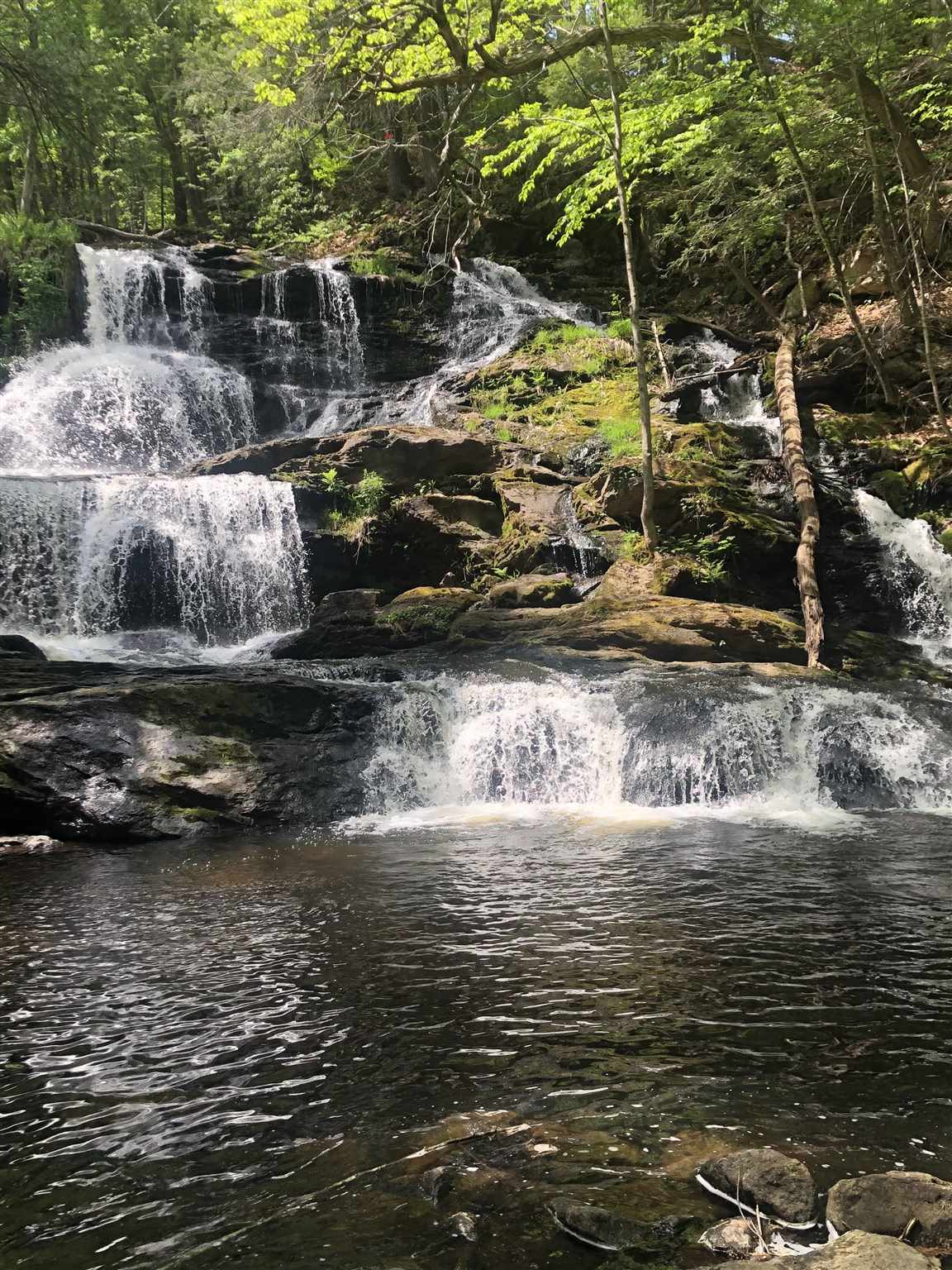 41 PUTNAM HILL ROAD, Wilton, NH 03086 PrimeMLS