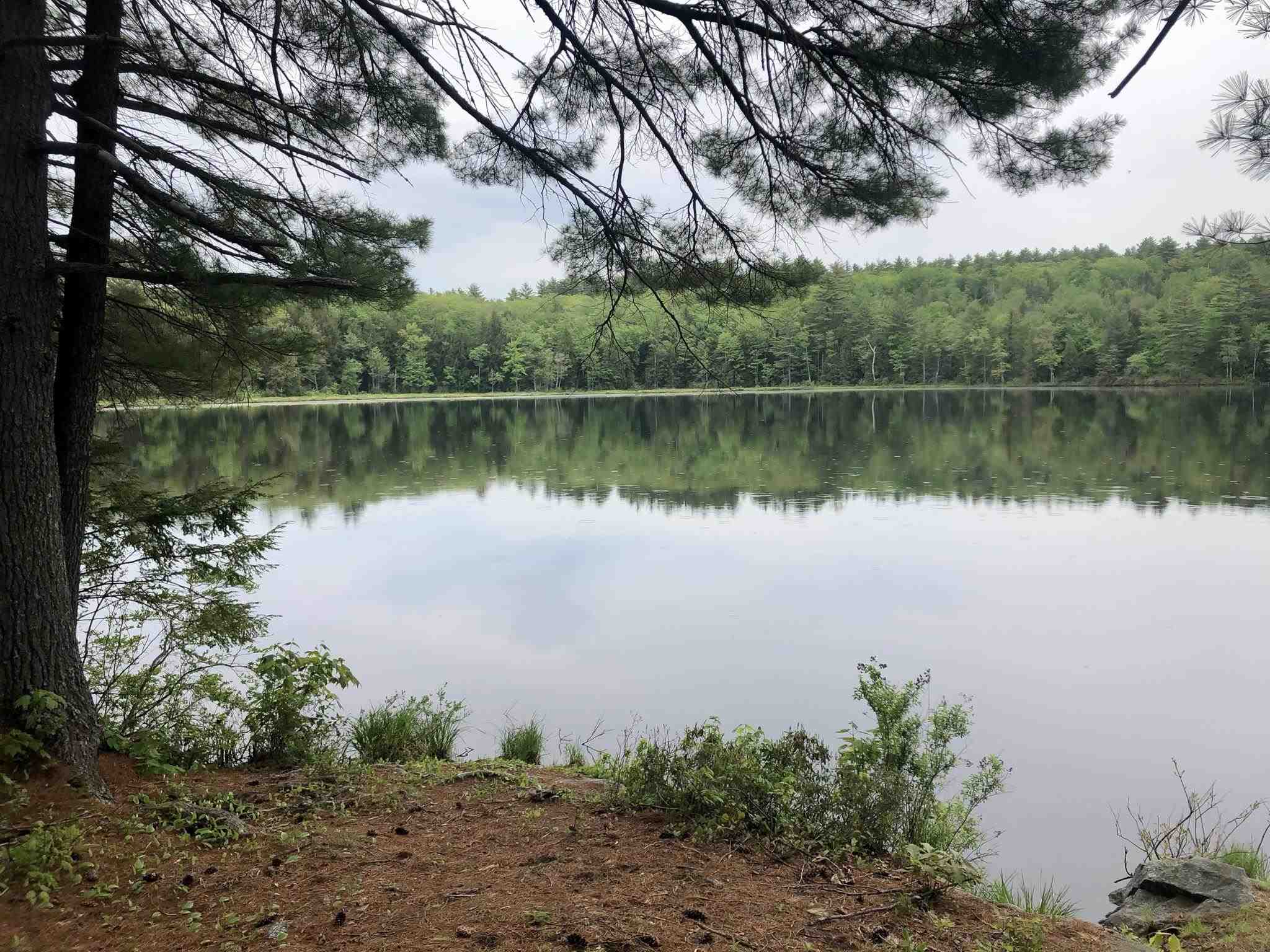 Lot R06-37 Forest Pond Road37  New Hampton, NH Photo