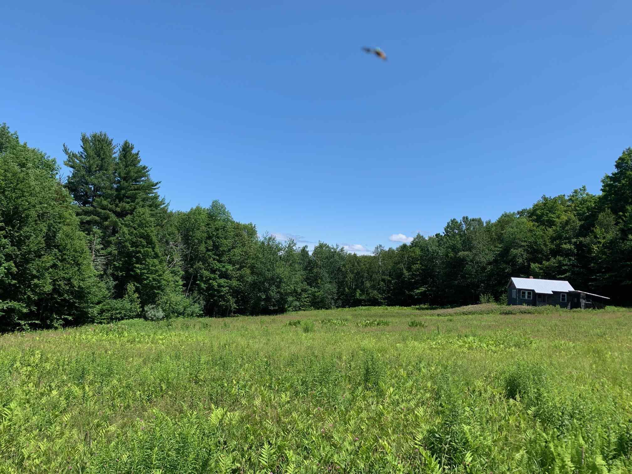Landmark Realty Vt